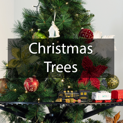 Christmas Trees & Lights